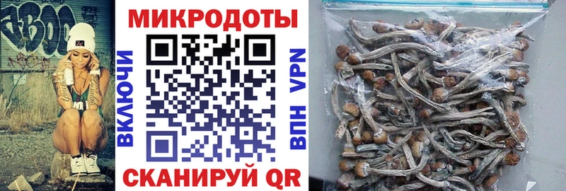 Псилоцибиновые грибы ЛСД  Дудинка 